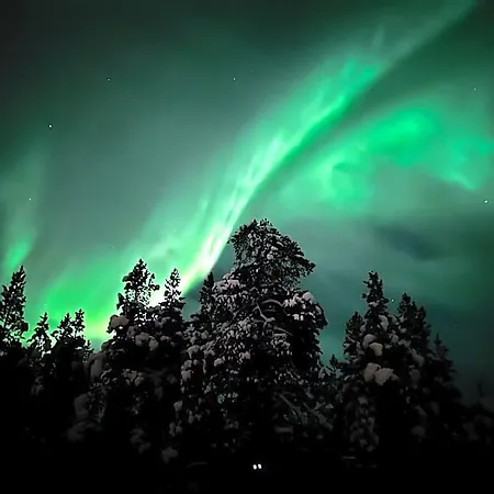 Hotel Inari 3* Koppelo